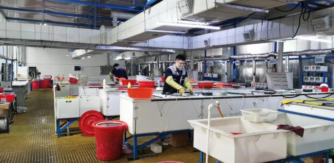 ZHENGZHOU JINCHUAN ABRASIVES CO., LTD. Fabrik Tour