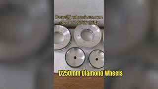 Sehen Sie sich an: D250-mm-Vitrine mit Rädern aus Glas und Kunstharz